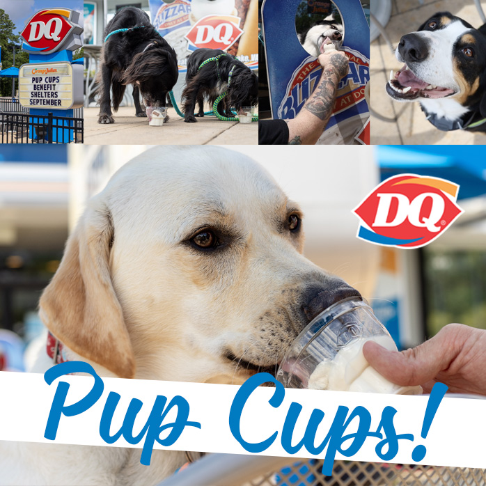 Pup Cup Photo